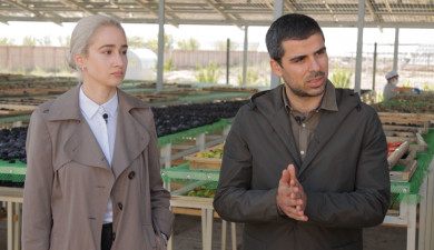 Бизнесмен. Ареги