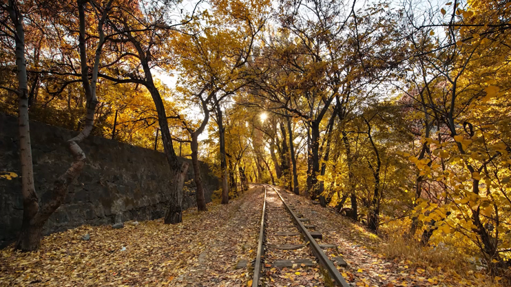 Вести. Главный выпуск