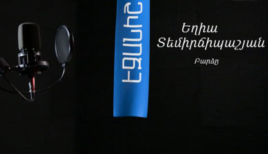 Егия Темирчипашян. Подушка