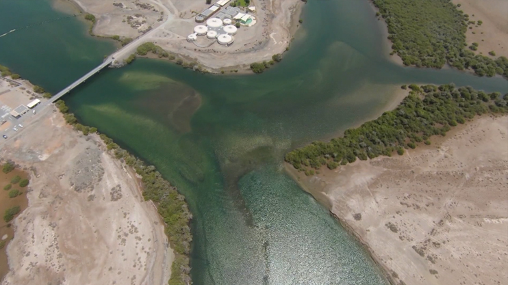 Вести. Главный выпуск