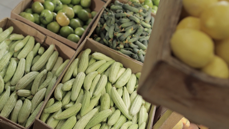 Լուրեր. Գլխավոր թողարկում