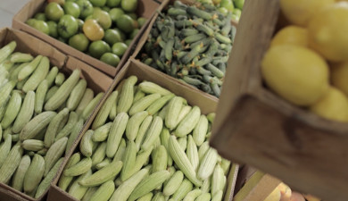 Լուրեր. Գլխավոր թողարկում