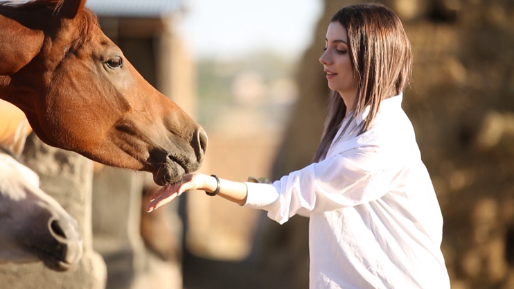 Diary of a Woman: Single Motherhood, Overlove