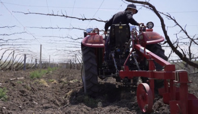 Вести. Главный выпуск