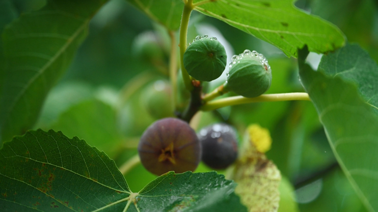 Լուրեր. Գլխավոր թողարկում