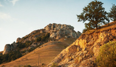 Լուրեր. Գլխավոր թողարկում