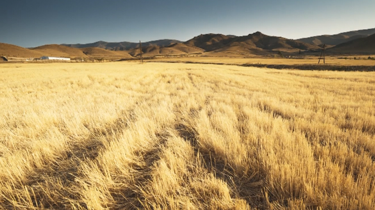 Լուրեր. Գլխավոր թողարկում