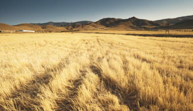 Լուրեր. Գլխավոր թողարկում