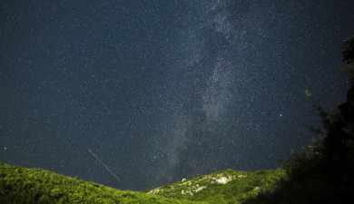 Ինդեքս