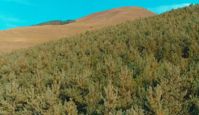 Լուրեր. Գլխավոր թողարկում