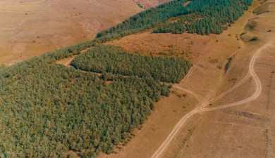 Լուրեր. Գլխավոր թողարկում
