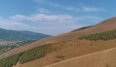 Индекс