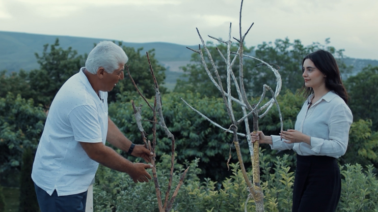 Ethnocolors: Kurdish People