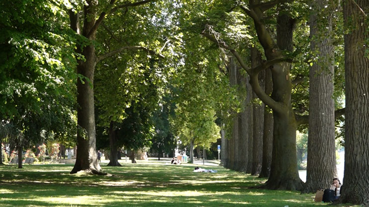 On Foreign, Desolate Roads. Lezh (part 2)