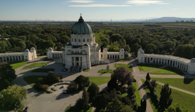 Օտար, ամայի ճամփեքի վրա. Վիեննա