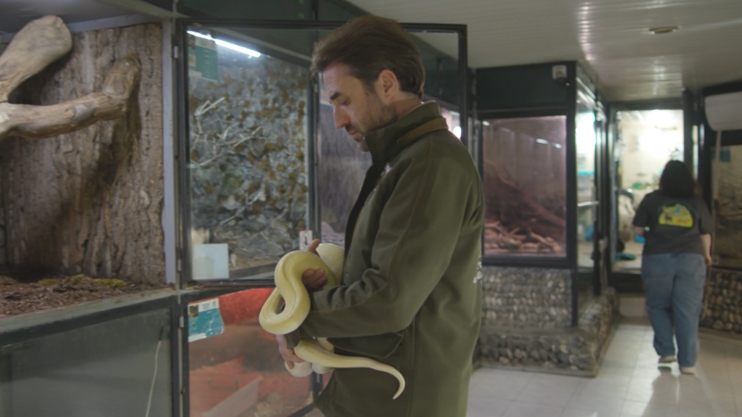 Важное дело: зоопарк