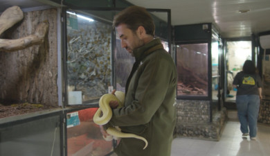 Важное дело: зоопарк